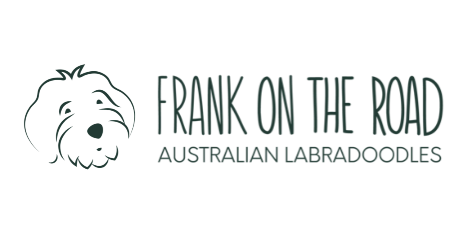 Frank On The Road Australian Labradoodles
